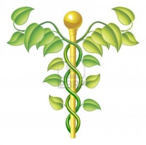 natural-caduceus-concept-can-be-used-for-natural-or-alternative-medicine-etc