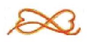 Il nodo logo