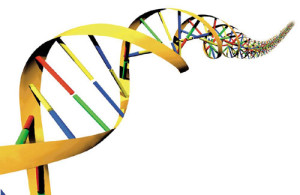 DNA.labscienze.org