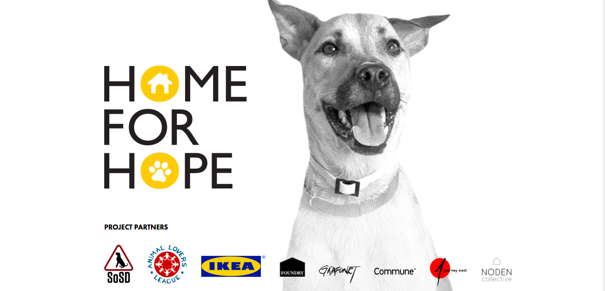 Ikea lancia campagna per l’adozione di animali abbandonati