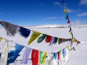 bandiere tibetane