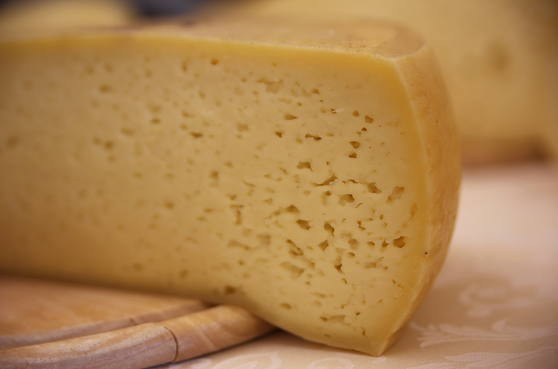 Con “Cheese” a Bra oltre 50 Presìdi da 14 Paesi diversi