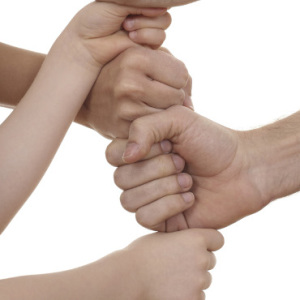 lots of human hands isolated on white - team concept