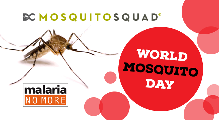 Mosquito Day, una giornata mondiale dedicata alla ricerca sulla malaria