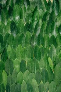 erol-ahmed-wKTF65TcReY-unsplash