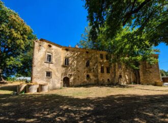 La Patata silana focus del convegno a Celico