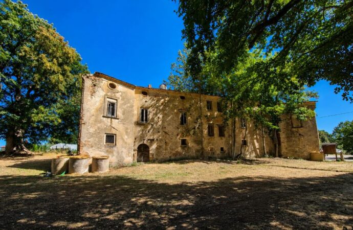 La Patata silana focus del convegno a Celico